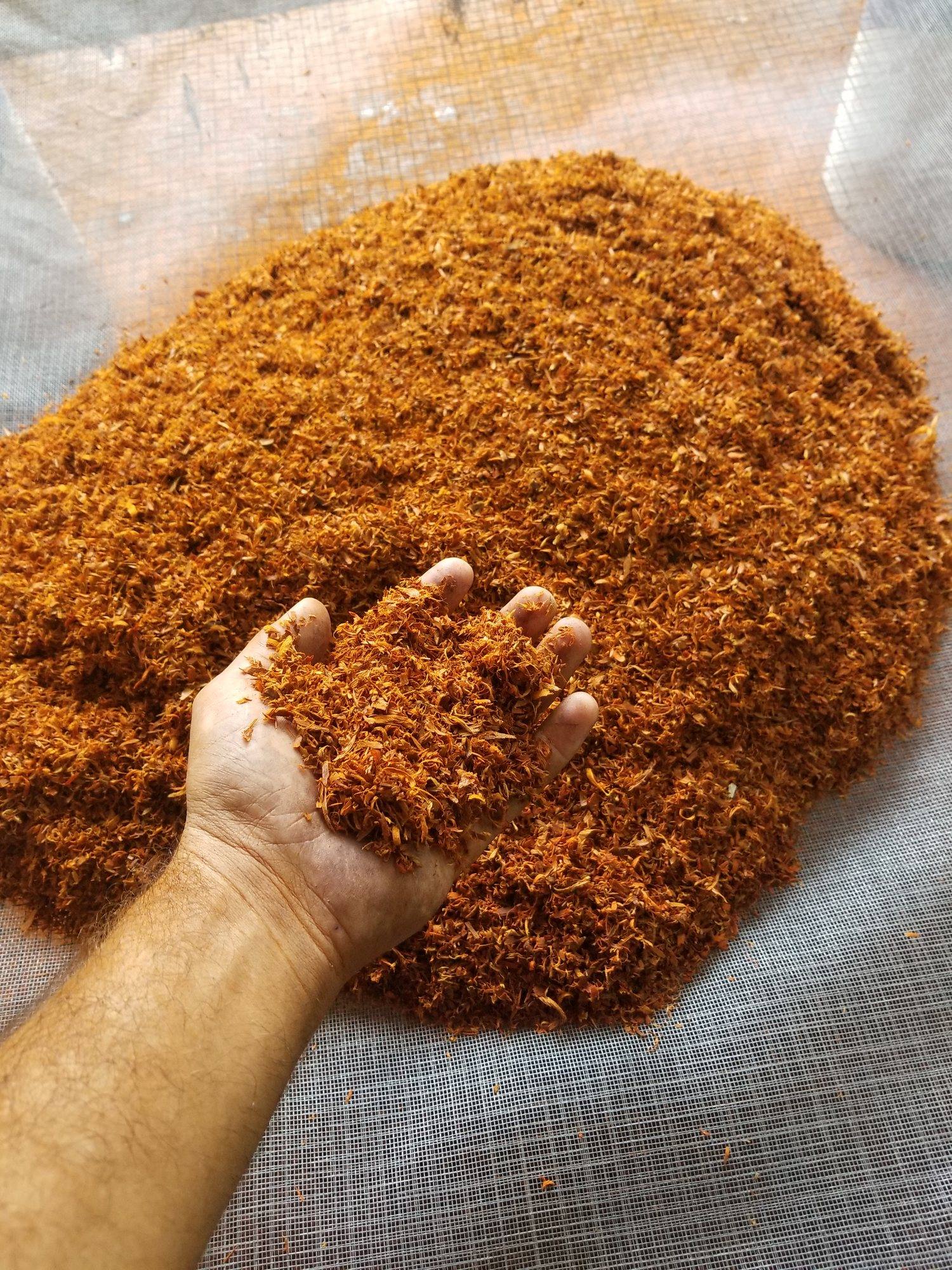 Hand holding freshly milled orange-red logwood heartwood chippings