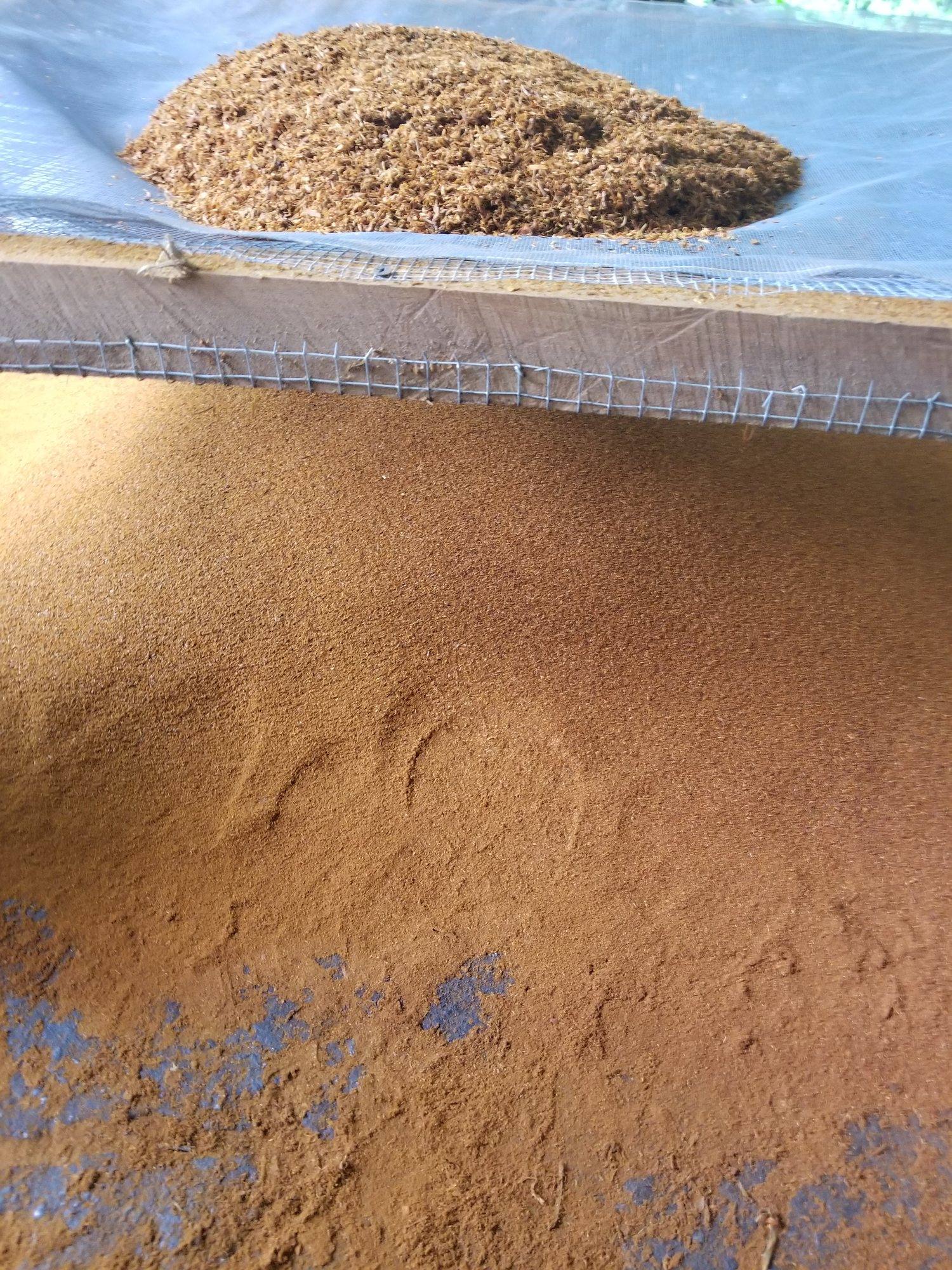 Pile of finely ground logwood dye powder on a tarp